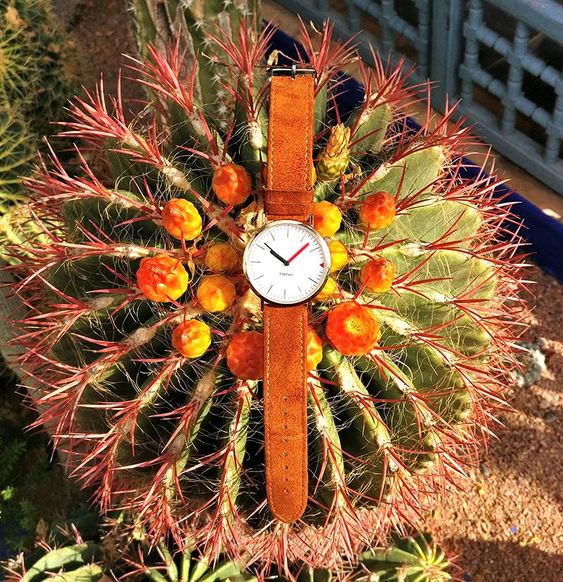 Galería de imágenes